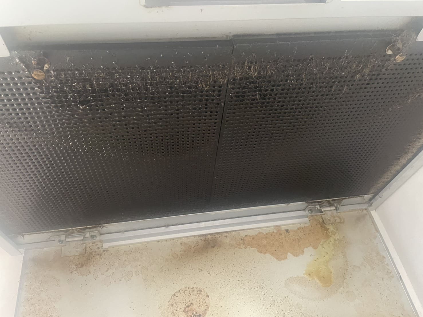 守谷市大柏でレンジフードクリーニングpage-visual 守谷市大柏でレンジフードクリーニングビジュアル