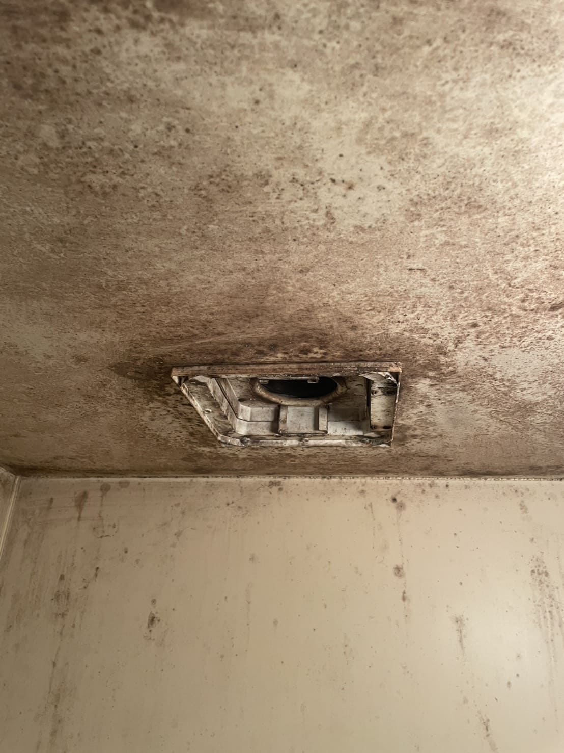 常総市山田町でお風呂クリーニングpage-visual 常総市山田町でお風呂クリーニングビジュアル